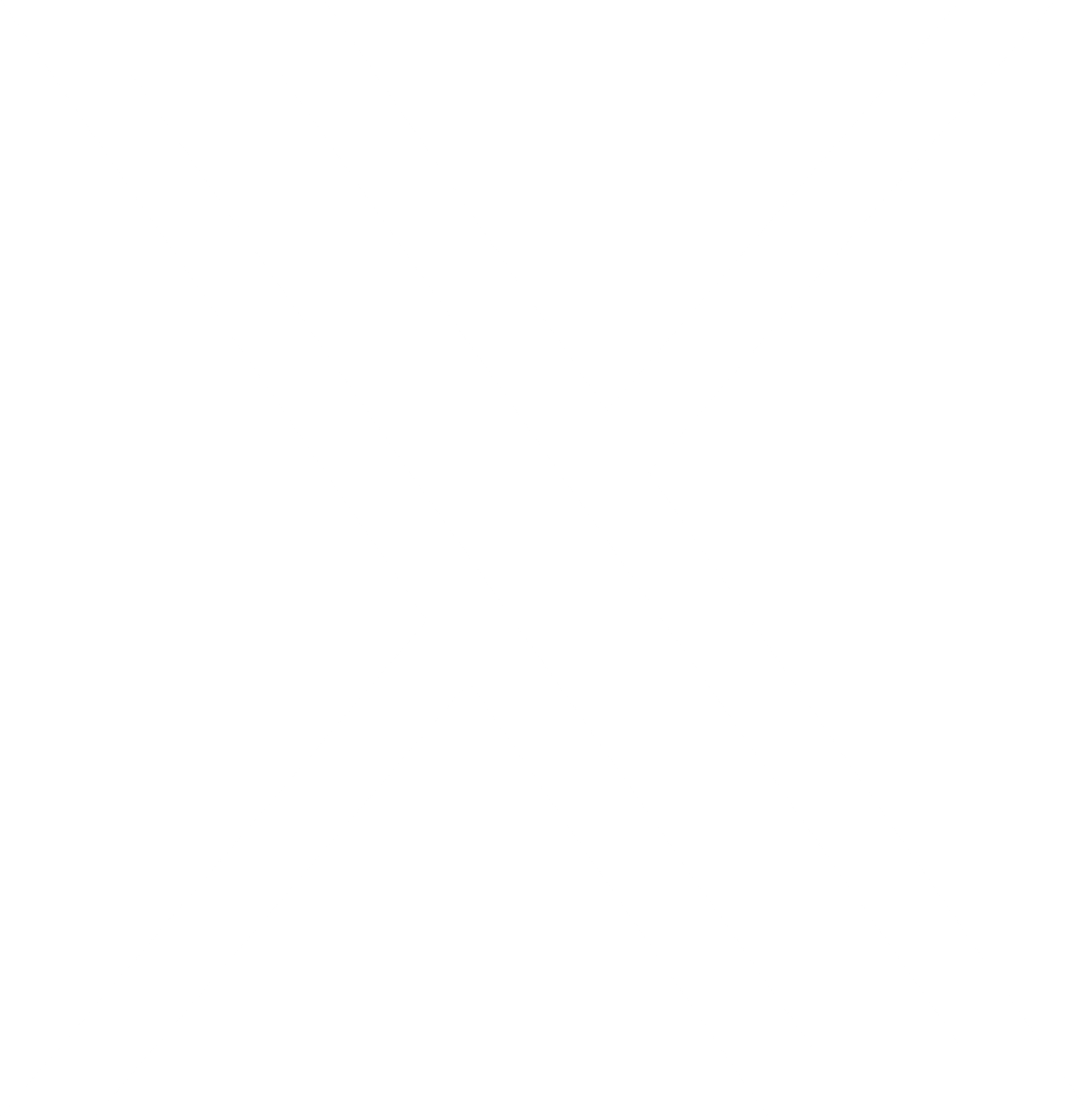 /icons/x-white icon